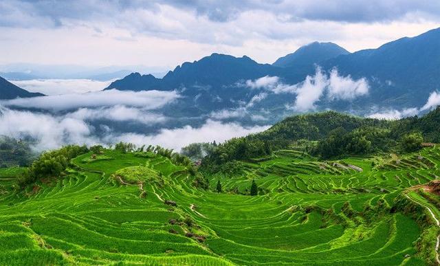 丽水必去的8个景点，丽水景点大全景点排名 攻略（国庆旅游最受欢迎景区盘点）