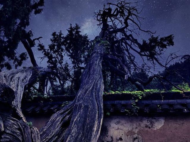 丽水必去的8个景点，丽水景点大全景点排名 攻略（国庆旅游最受欢迎景区盘点）