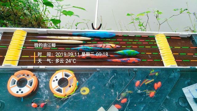 梦见钓鱼是什么意思，学生梦见钓鱼是什么意思（一不小心被我成了真）