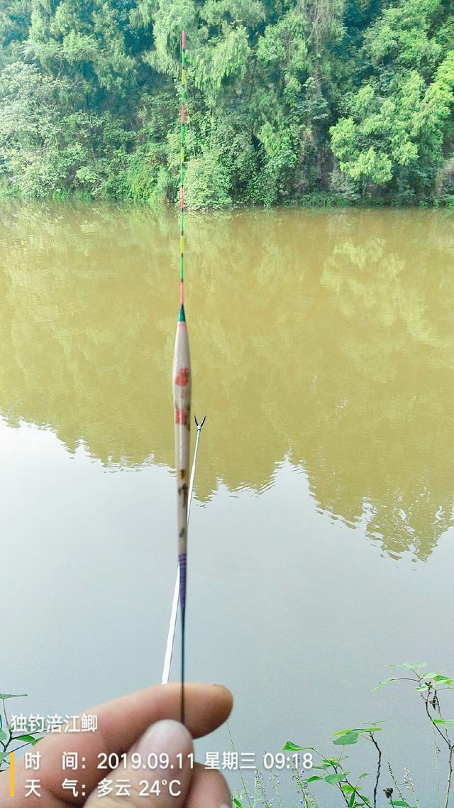 梦见钓鱼是什么意思，学生梦见钓鱼是什么意思（一不小心被我成了真）