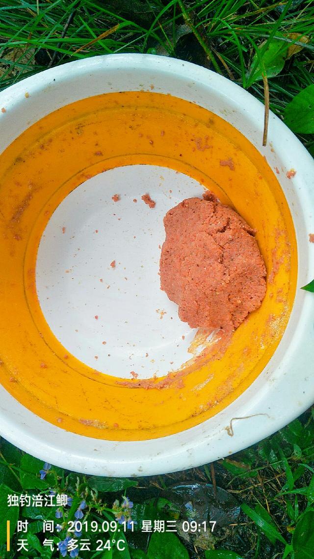 梦见钓鱼是什么意思，学生梦见钓鱼是什么意思（一不小心被我成了真）