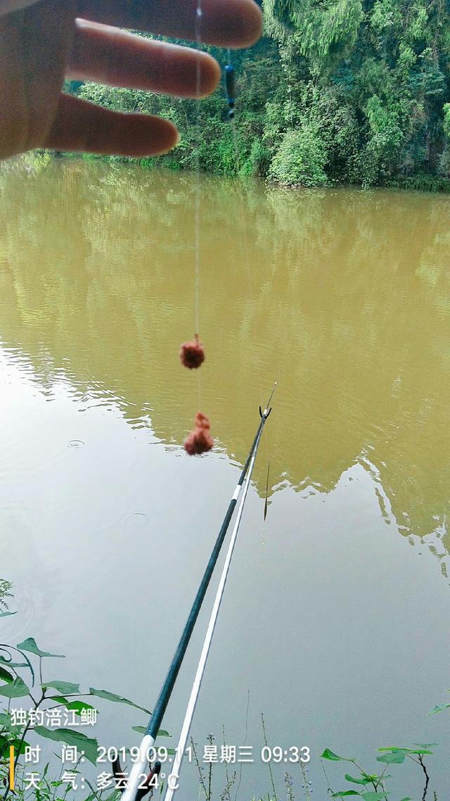 梦见钓鱼是什么意思，学生梦见钓鱼是什么意思（一不小心被我成了真）