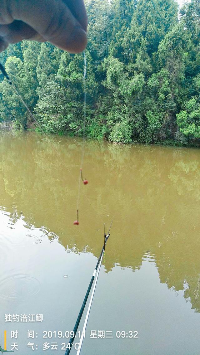 梦见钓鱼是什么意思，学生梦见钓鱼是什么意思（一不小心被我成了真）
