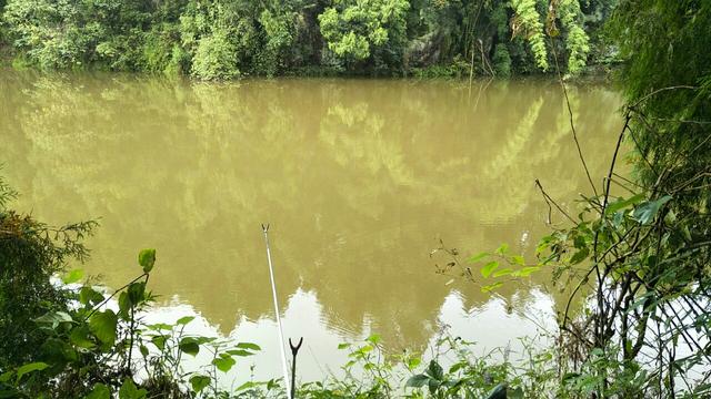 梦见钓鱼是什么意思，学生梦见钓鱼是什么意思（一不小心被我成了真）