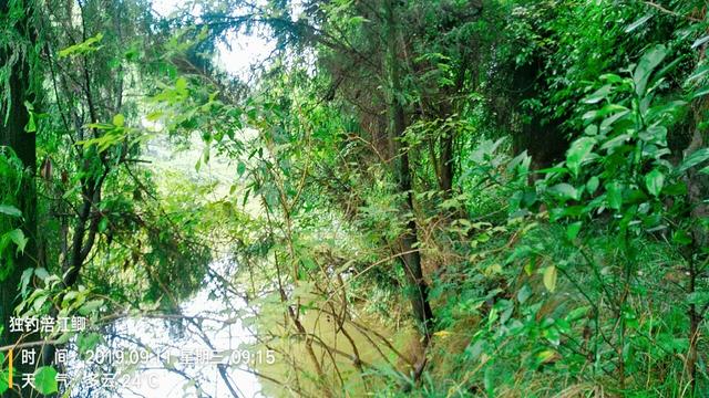 梦见钓鱼是什么意思，学生梦见钓鱼是什么意思（一不小心被我成了真）