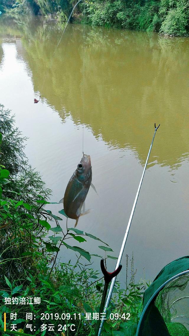 梦见钓鱼是什么意思，学生梦见钓鱼是什么意思（一不小心被我成了真）