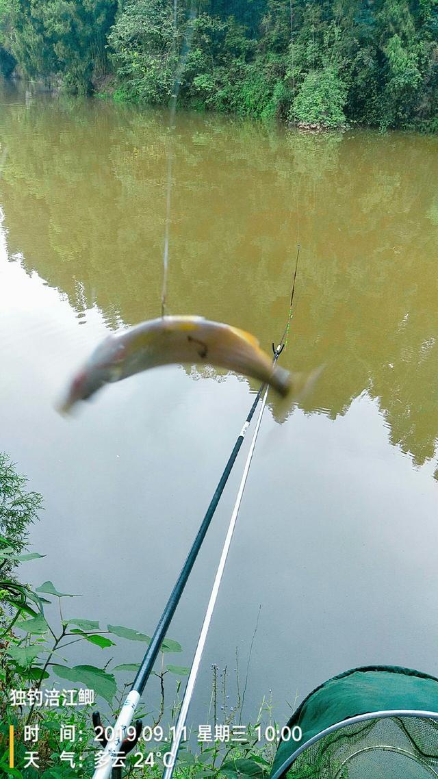 梦见钓鱼是什么意思，学生梦见钓鱼是什么意思（一不小心被我成了真）