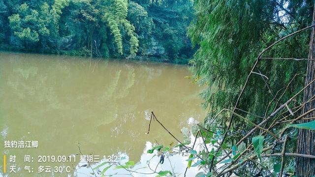 梦见钓鱼是什么意思，学生梦见钓鱼是什么意思（一不小心被我成了真）