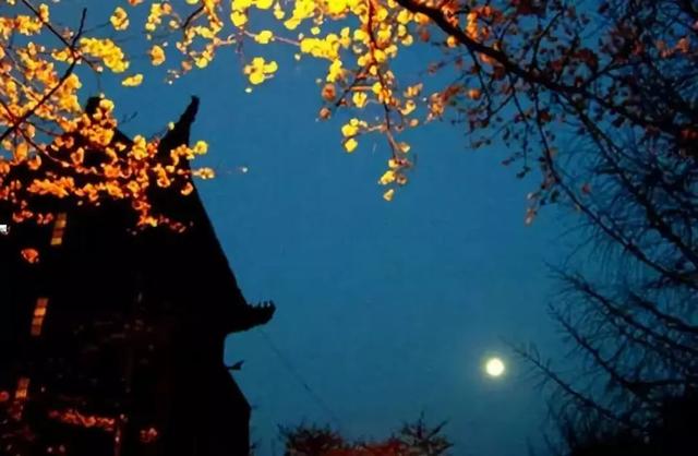 厦门阿忠农家乐，厦门阿忠农家乐简介（公园、酒店、农家乐……任你选）