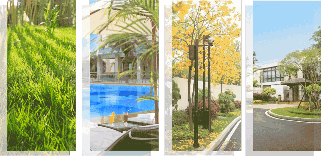 厦门阿忠农家乐，厦门阿忠农家乐简介（公园、酒店、农家乐……任你选）