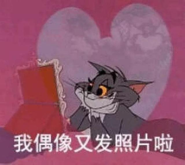 饭圈女孩什么意思，饭圈女孩是什么意思（控评、轮博、毒唯⋯⋯饭圈女孩的世界不是想进就进）