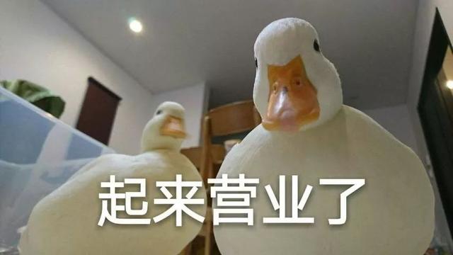 饭圈女孩什么意思，饭圈女孩是什么意思（控评、轮博、毒唯⋯⋯饭圈女孩的世界不是想进就进）