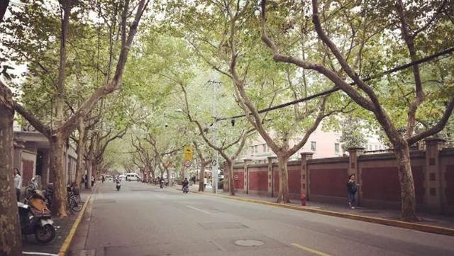 愚园路749弄，上海老弄堂在什么地方（愚园路上有“愚园”吗）