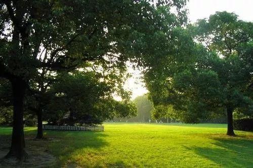 愚园路749弄，上海老弄堂在什么地方（愚园路上有“愚园”吗）