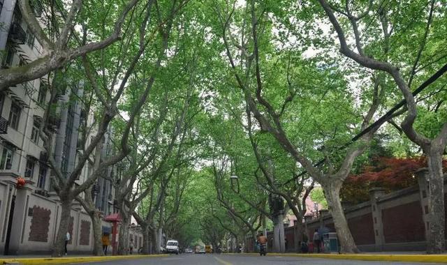 愚园路749弄，上海老弄堂在什么地方（愚园路上有“愚园”吗）