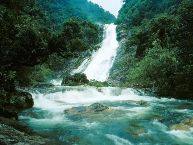 周杰伦歌曲绿水青山，海南这片“绿水青山”你了解多少