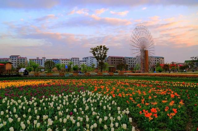 义乌旅游攻略必去的景点，“义乌十景”即将诞生