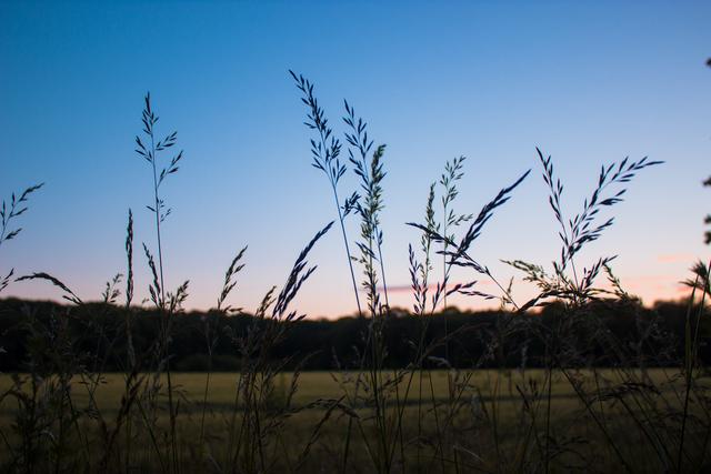 eva是什么材质，eva是什么材质鞋底是泡沫吗（2021年中国EVA行业产能现状及市场竞争格局）