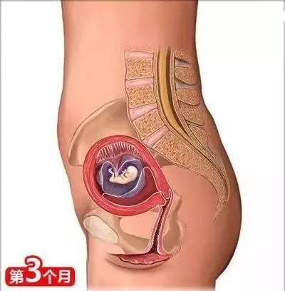 育婴知识大全0到8个月，26个从怀孕到生娃的母婴常识