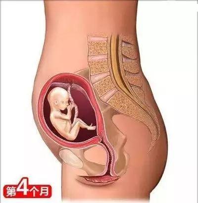 育婴知识大全0到8个月，26个从怀孕到生娃的母婴常识