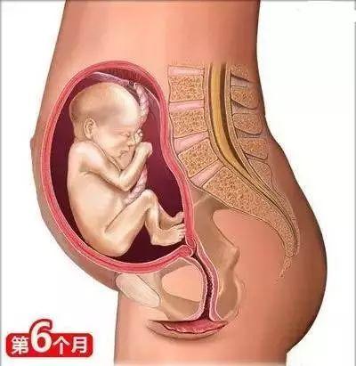 育婴知识大全0到8个月，26个从怀孕到生娃的母婴常识