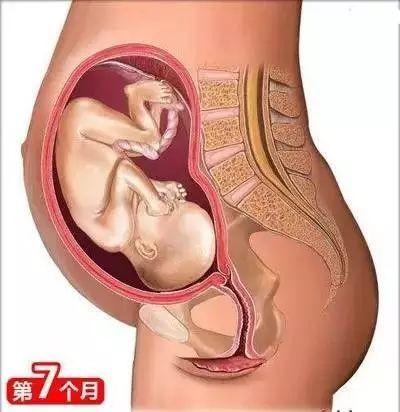 育婴知识大全0到8个月，26个从怀孕到生娃的母婴常识
