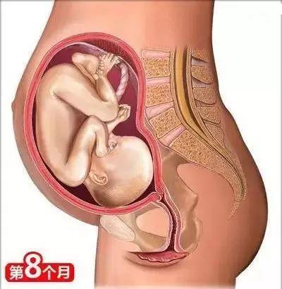 育婴知识大全0到8个月，26个从怀孕到生娃的母婴常识
