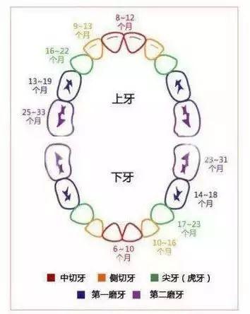 育婴知识大全0到8个月，26个从怀孕到生娃的母婴常识