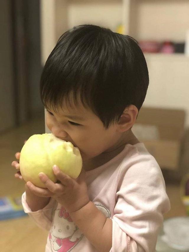 肥城桃有哪几个优良品系 ，肥城桃品种有哪些（肥城桃采摘之行）