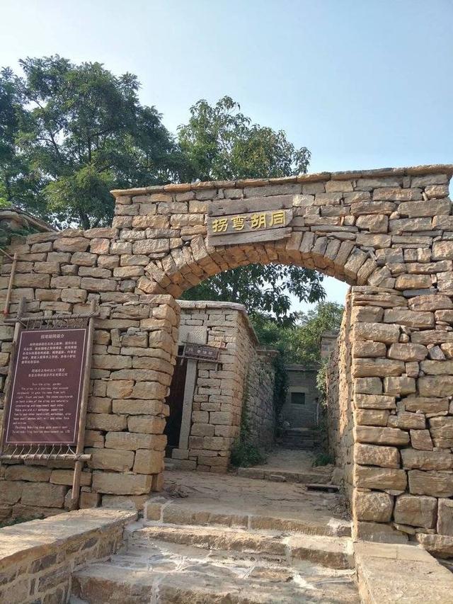 肥城桃有哪几个优良品系 ，肥城桃品种有哪些（肥城桃采摘之行）