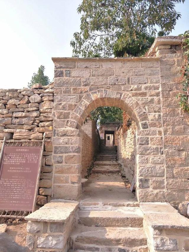 肥城桃有哪几个优良品系 ，肥城桃品种有哪些（肥城桃采摘之行）