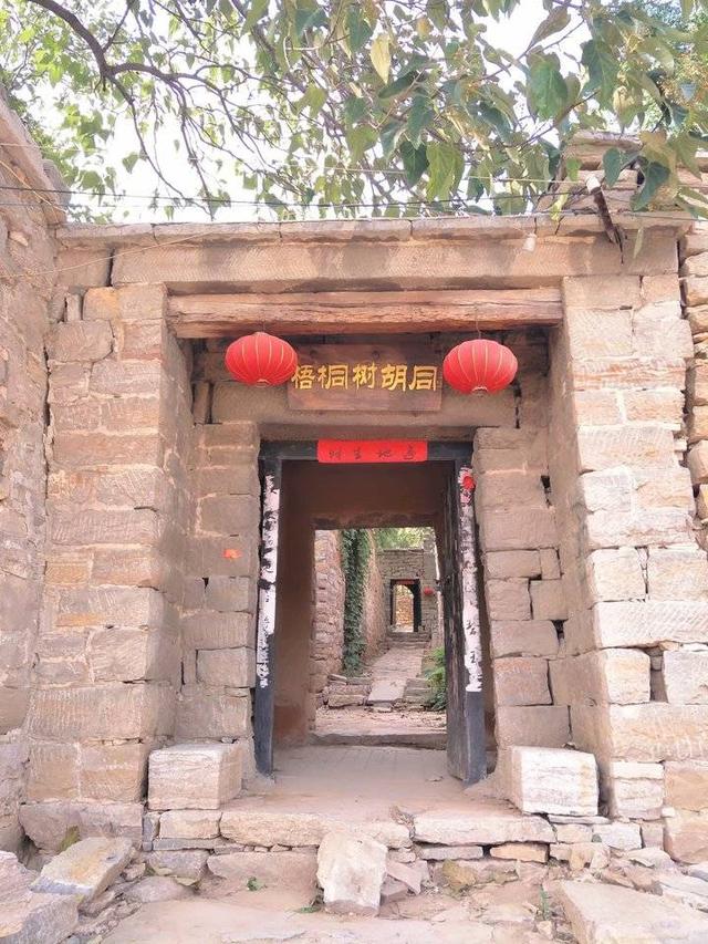 肥城桃有哪几个优良品系 ，肥城桃品种有哪些（肥城桃采摘之行）