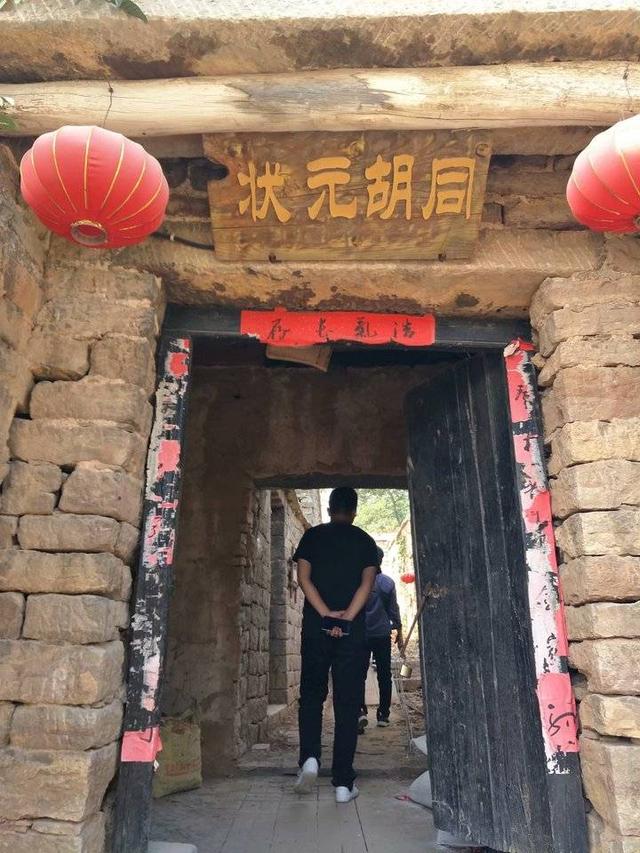 肥城桃有哪几个优良品系 ，肥城桃品种有哪些（肥城桃采摘之行）