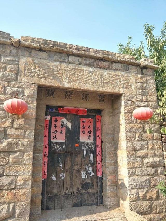 肥城桃有哪几个优良品系 ，肥城桃品种有哪些（肥城桃采摘之行）