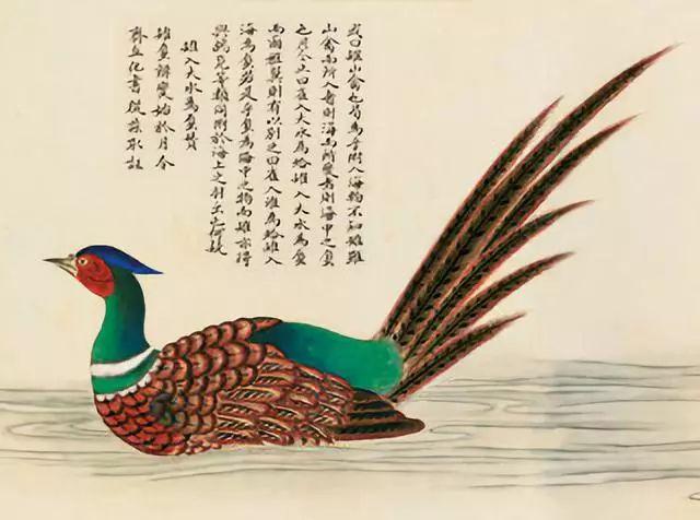 海市蜃楼是什么意思，海市蜃楼图解（海市蜃楼的“蜃”）