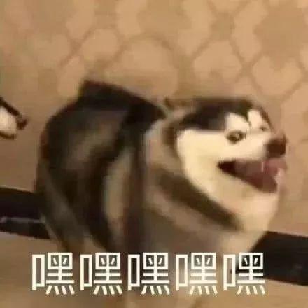 莘莘是什么意思，莘莘学子中的