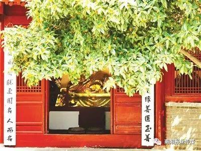 南阳有什么好玩的，南阳旅游景点（提醒丨“十一”南阳周边这些地方好玩）