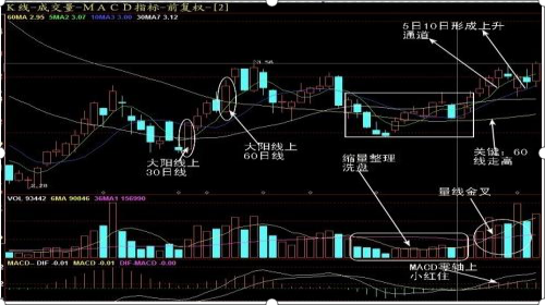 中签是什么意思，申请人新车黄牌摇号已经中签是什么意思（国内“中签王”告诉你）