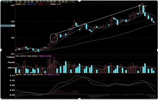 中签是什么意思，申请人新车黄牌摇号已经中签是什么意思（国内“中签王”告诉你）