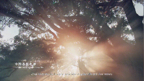 歌手张也哪一年出生，著名女歌手张也倾情唱出诸暨千年之美