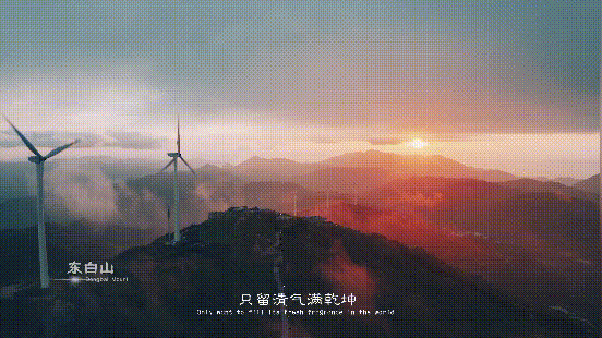 歌手张也哪一年出生，著名女歌手张也倾情唱出诸暨千年之美