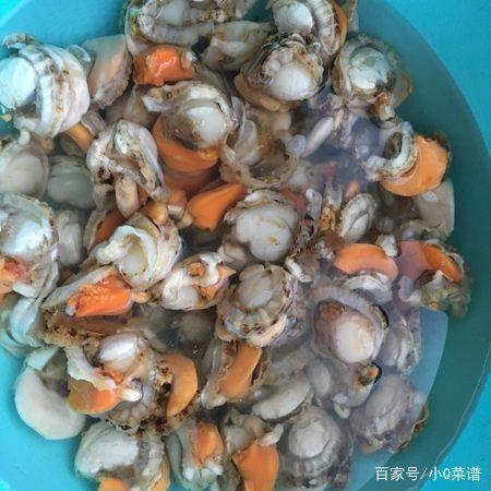 辣炒扇贝肉的做法，辣炒扇贝肉的最佳做法大全（辣炒扇贝肉）