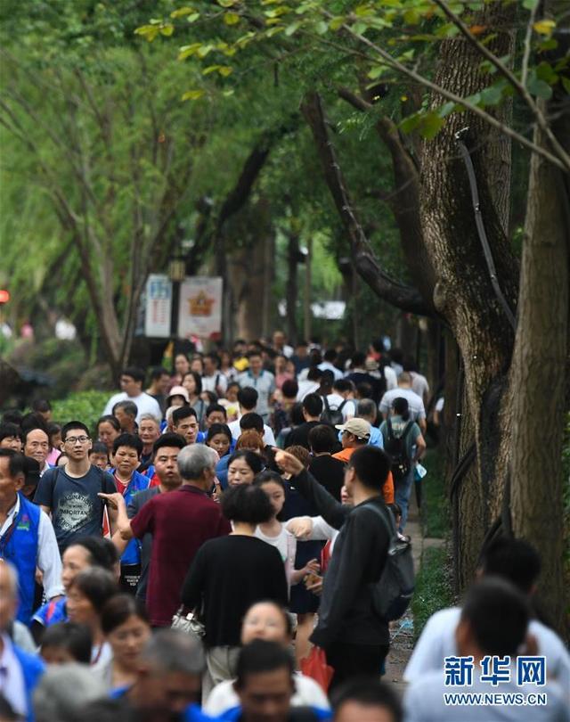 南浔古镇在哪里，南浔古镇怎么走（浙江湖州：南浔古镇游兴浓）