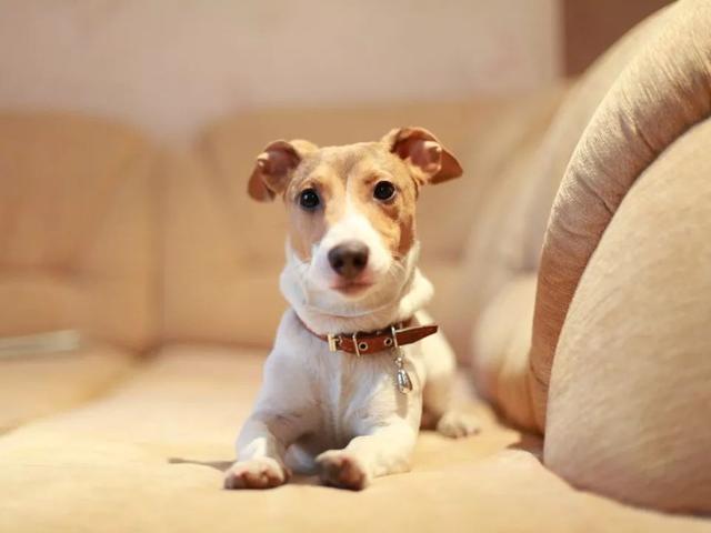 化妆水可以带上高铁吗，化妆水能带上高铁吗（火车站安检升级）