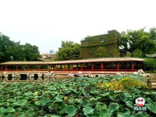 福州哪里好玩，拍照溜娃赏花总有一款你喜欢（福州哪里好玩风景好适合带小孩去）