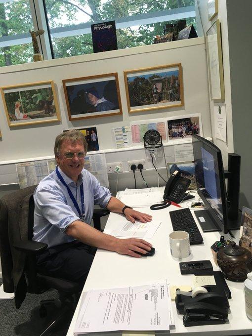 缺氧诱导因子，缺氧诱导因子稳定剂（贫血、癌症、胎儿都和它有关）