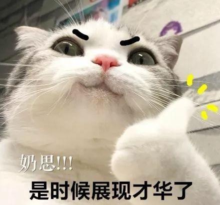 复兴号二等座座位怎么调节，复兴号二等座座位图（复兴号怎么坐，你说了算）