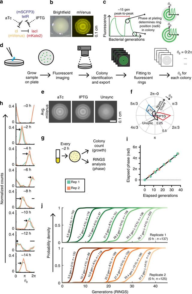 pda医学上是什么意思，pda是什么（癌症、微生物药物、脑肠轴、皮肤-肠道轴、共生病毒、阴道微生物、菌群免疫互作、肠道黏液、粪菌移植）