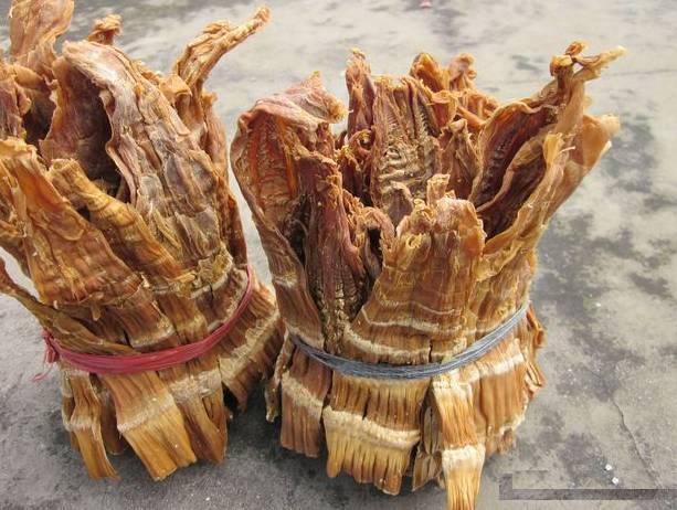 风味云南，你好“笋”啊，甜竹笋苗多少钱一棵