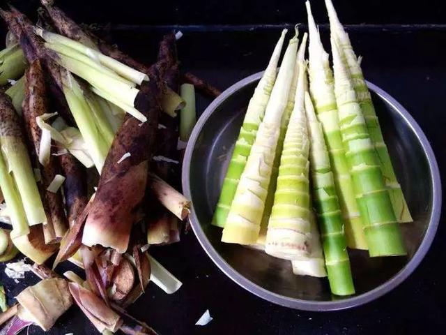 风味云南，你好“笋”啊，甜竹笋苗多少钱一棵